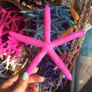 Pink Starfish!